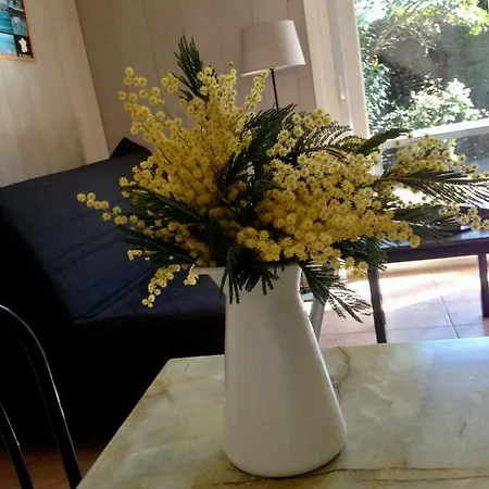 Rez-de-jardin Apartment *